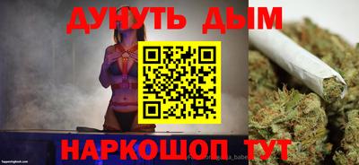 индика Дубна
