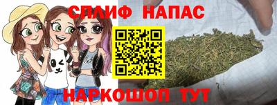индика Дубна