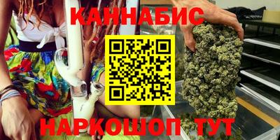 индика Дубна