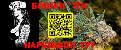 индика Дубна