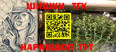 индика Дубна