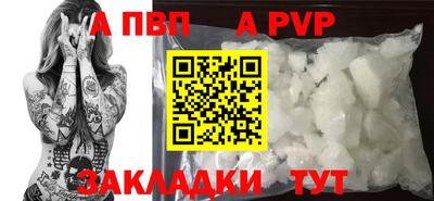 индика Дубна